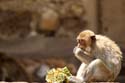 thai_07-07-04_404