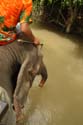 thai_07-07-08_473